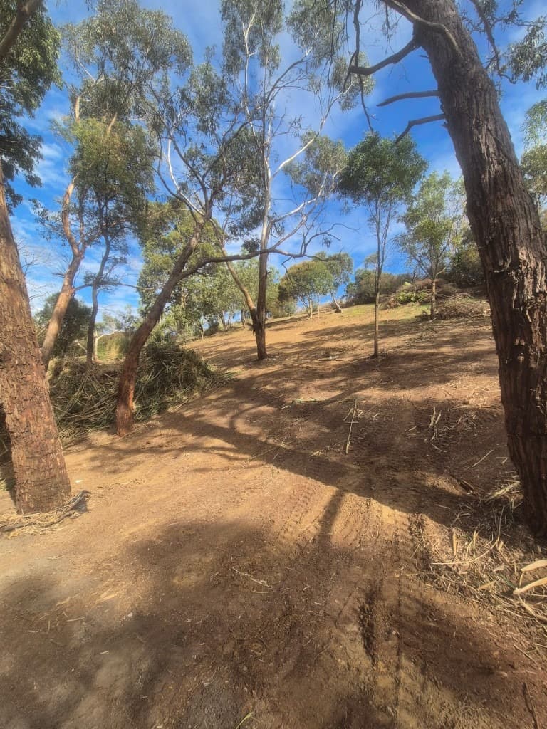 Vegetation Management